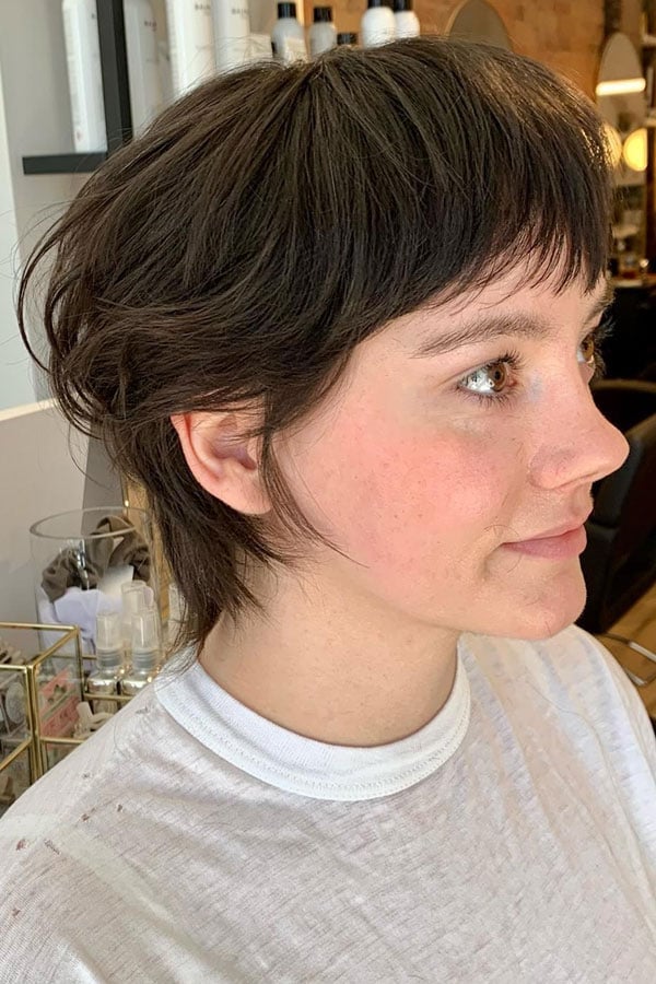 Short Ear Length Dark Brown Shag — Shag Haircut