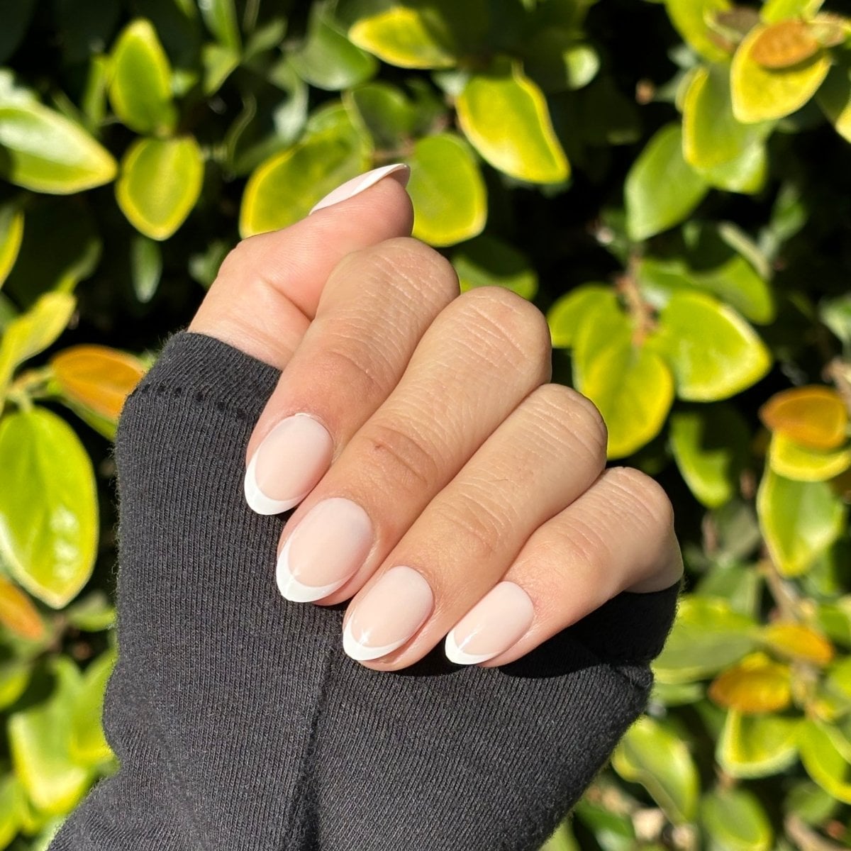 Classic French Manicure Short Round Nails