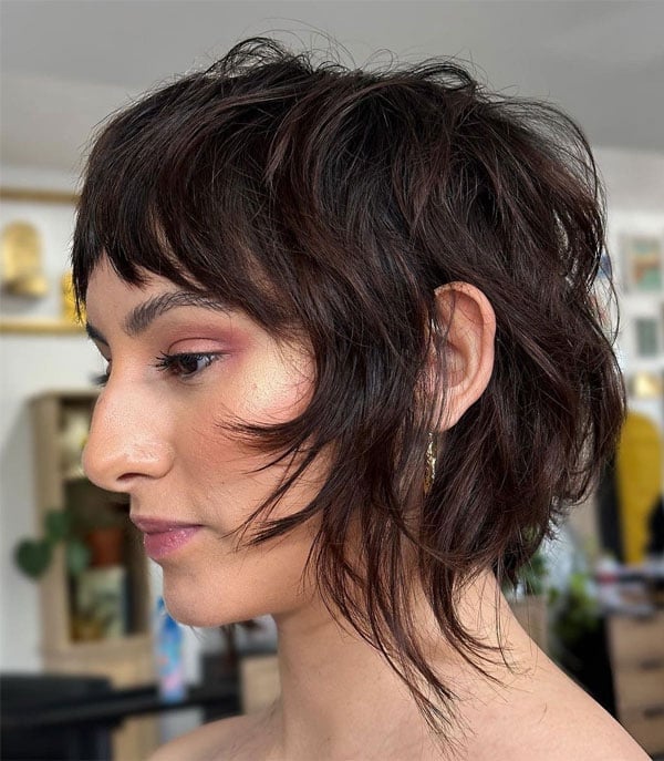 Ear Length Shag With Micro Fringe — Short Shag