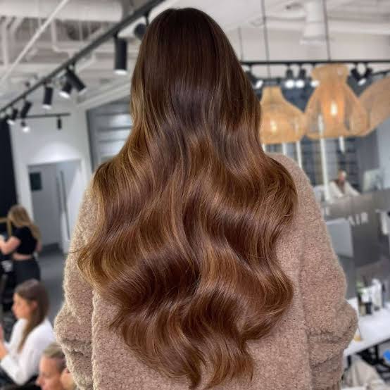 Back View Mid-Back Warm Brown Balayage, Wavy — Warm Brown Hair