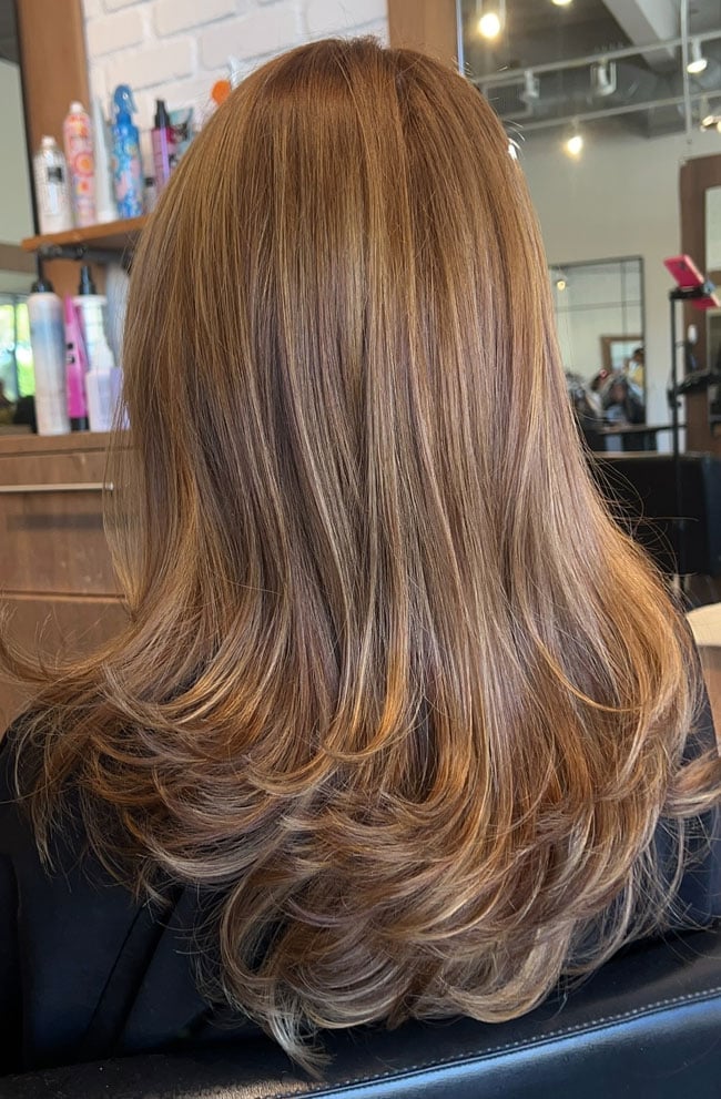 Back View Light Brown With Caramel Highlights — Warm Brown Hair