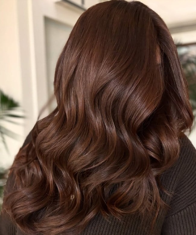 Back View Chocolate Mahogany Brown Waves — Warm Brown Hair
