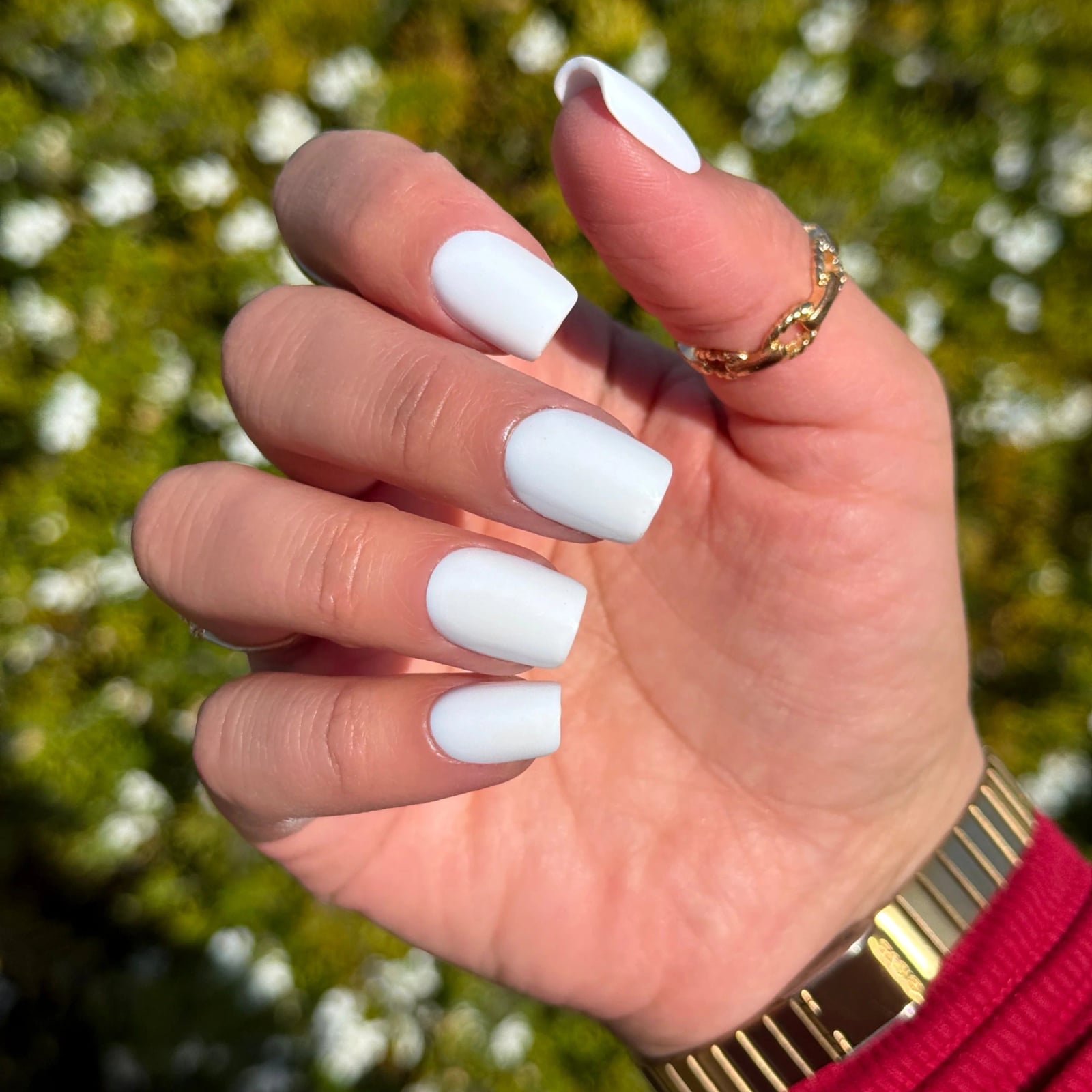 Matte Opaque White Short Square Nails, Displaying The Clean — White Nails