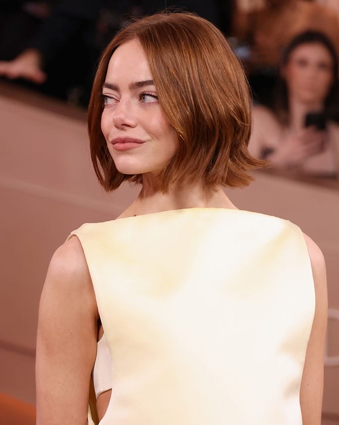 Back View Reddish Brown Blunt Bob, Close-Up Take Back View Reddish Brown Blunt Bob, Close-Up Take — Winter Haircuts for Women